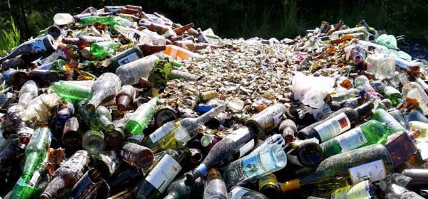 trash chores pickup florida hot sun