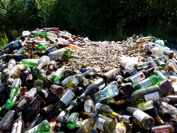 trash chores pickup florida hot sun