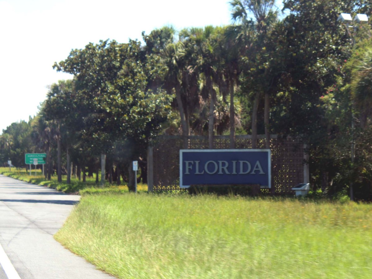 Life through the lens