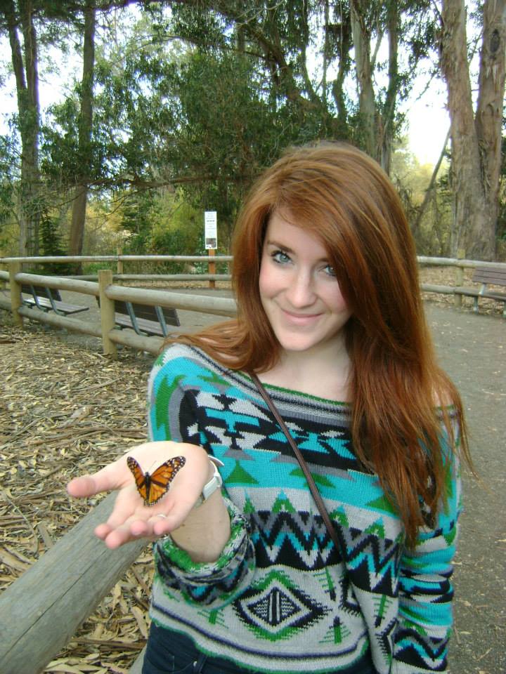 butterflies monarch eucalyptus California road trip  